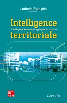 L'intelligence territoriale, expliquée par Ludovic François L'intelligence territoriale, expliquée par Ludovic François
