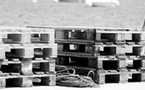 Etude Forrester : les entreprises peinent encore à intégrer leurs chaînes logistiques