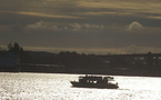 En hausse de 8,3%, le transport fluvial confirme sa progression
