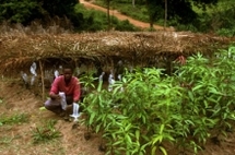 L'Afrique exporte ses produits bio L'Afrique exporte ses produits bio