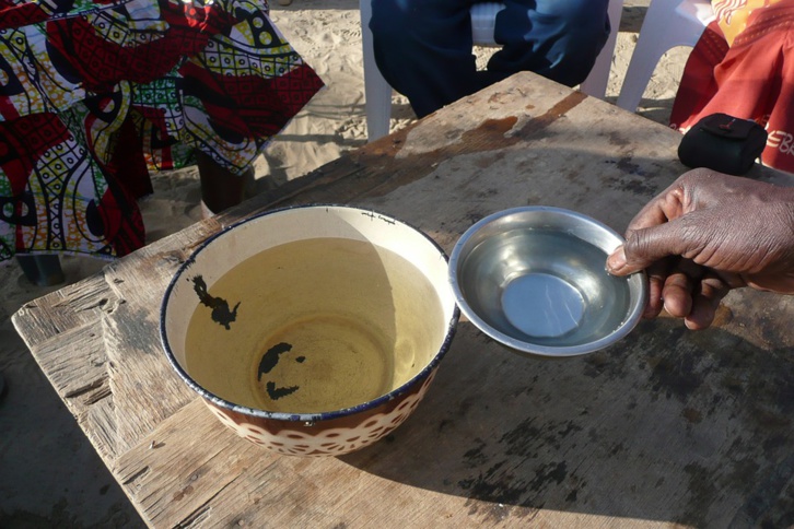 Veolia Water Technologies pour développer l'accès à l'eau et à l'assainissement en Afrique 