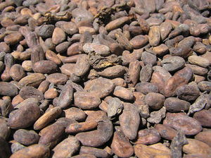 Le chocolat : un produit de luxe en devenir ? Le chocolat : un produit de luxe en devenir ?