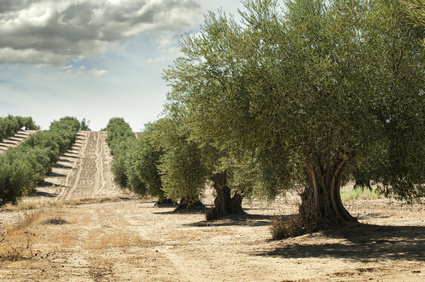 © Deyan Georgiev - Fotolia.com © Deyan Georgiev - Fotolia.com