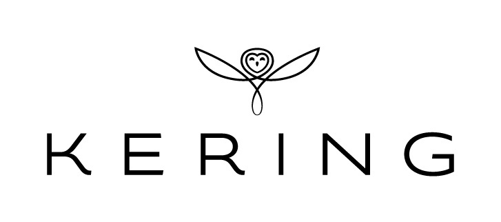 PPR devient Kering : une communication héritière d'une vision stratégique de long terme PPR devient Kering : une communication héritière d'une vision stratégique de long terme
