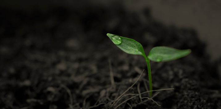 Creative Commons - Pixabay Creative Commons - Pixabay