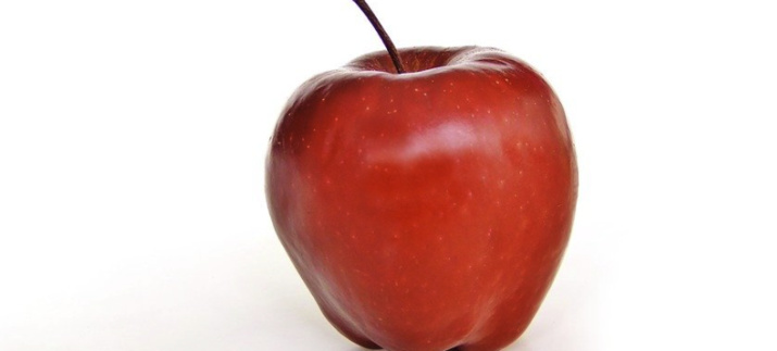 Creative Commons - Pixabay Creative Commons - Pixabay