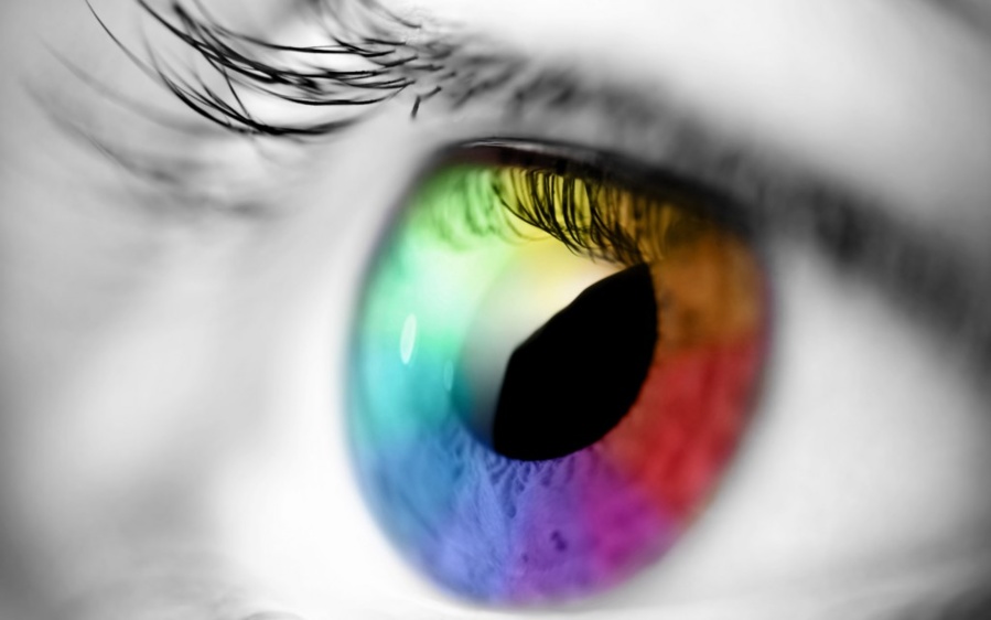 Projet de loi sur les lentilles de contact : quels enjeux ? Projet de loi sur les lentilles de contact : quels enjeux ?