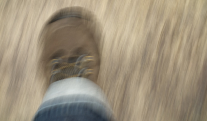 Creative Commons - Pixabay Creative Commons - Pixabay