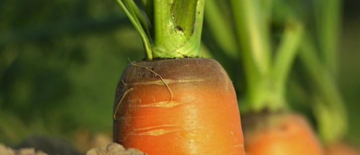 Creative Commons - Pixabay Creative Commons - Pixabay