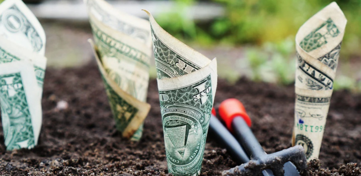 Creative Commons - Pixabay Creative Commons - Pixabay