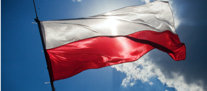 Creative Commons - Pexels Creative Commons - Pexels