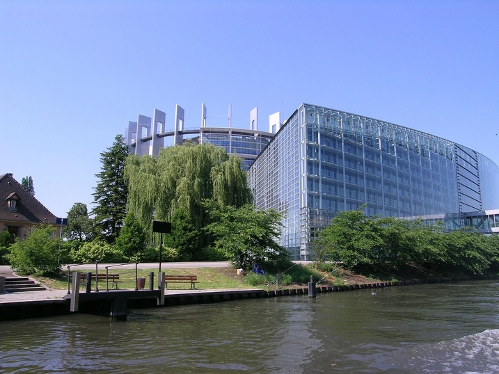 Le Parlement européen interdit les dénominations type "steak végétal"