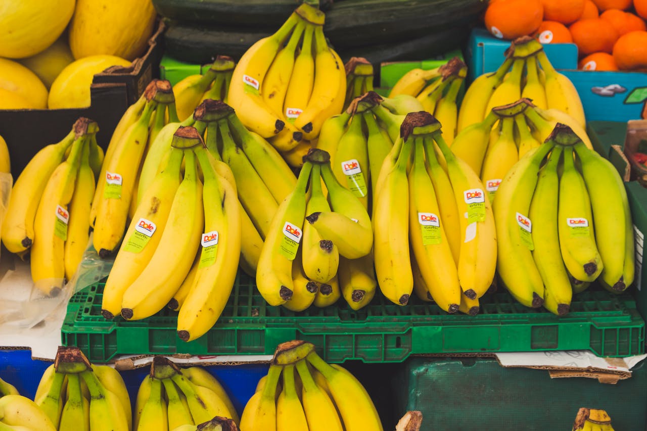 Chiquita met fin à ses activités au Panama : 7 000 salariés licenciés en bloc