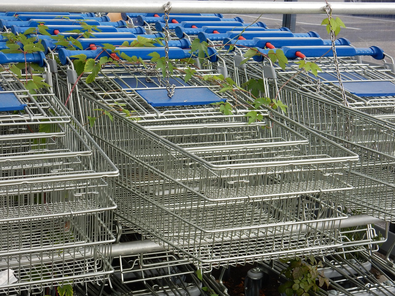 Lidl change de slogan et relance sa bataille sur le pouvoir d’achat