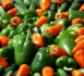 La mauvaise météo espagnole à l’origine de la flambée des prix des légumes