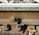 La SNCF prépare un nouveau projet de voie ferrée