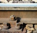 La SNCF prépare un nouveau projet de voie ferrée La SNCF prépare un nouveau projet de voie ferrée