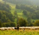 Pays de la Loire : la Région prolonge son aide aux agriculteurs