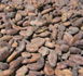 Le chocolat : un produit de luxe en devenir ? Le chocolat : un produit de luxe en devenir ?