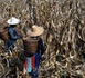 Droits fonciers : un succès en demi-teinte pour la FAO Droits fonciers : un succès en demi-teinte pour la FAO