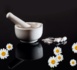 Homéopathie : Boiron annonce le licenciement d’un quart de ses effectifs