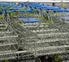 Lidl change de slogan et relance sa bataille sur le pouvoir d’achat